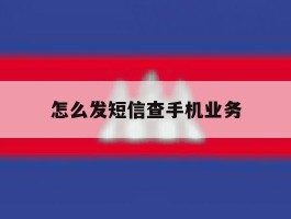 怎么发短信查手机业务