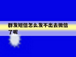 群发短信怎么发不出去微信了呢