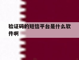 验证码的短信平台是什么软件啊