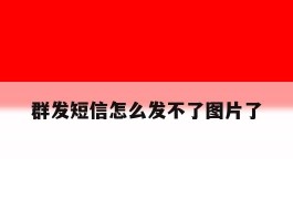 群发短信怎么发不了图片了