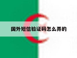 国外短信验证码怎么弄的