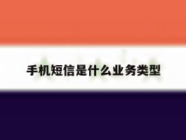 手机短信是什么业务类型