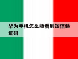 华为手机怎么能看到短信验证码