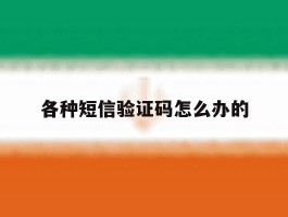 各种短信验证码怎么办的