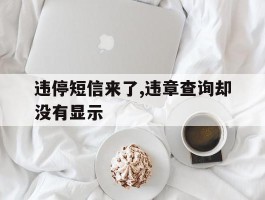 违停短信来了,违章查询却没有显示