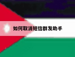 如何取消短信群发助手