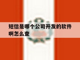 短信是哪个公司开发的软件啊怎么查