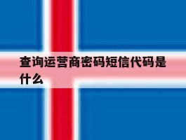 查询运营商密码短信代码是什么