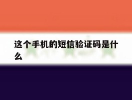 这个手机的短信验证码是什么