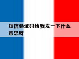 短信验证码给我发一下什么意思呀