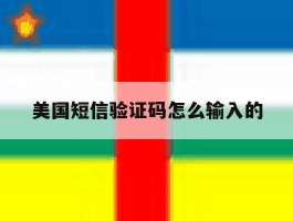 美国短信验证码怎么输入的