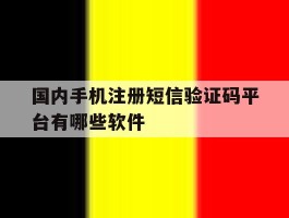 国内手机注册短信验证码平台有哪些软件
