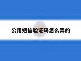 公用短信验证码怎么弄的