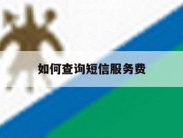 如何查询短信服务费