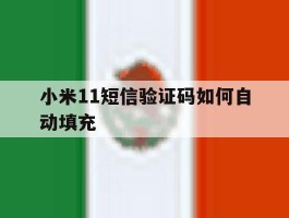 小米11短信验证码如何自动填充