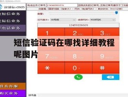 短信验证码在哪找详细教程呢图片