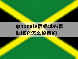 iphone短信验证码自动填充怎么设置的