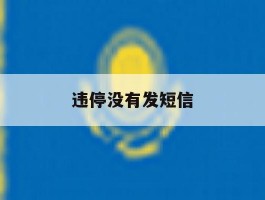 违停没有发短信