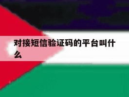 对接短信验证码的平台叫什么