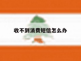 收不到消费短信怎么办