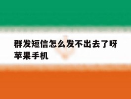 群发短信怎么发不出去了呀苹果手机