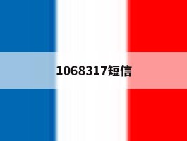 1068317短信