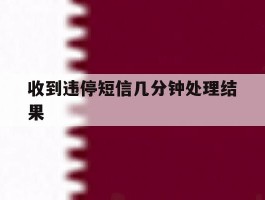 收到违停短信几分钟处理结果