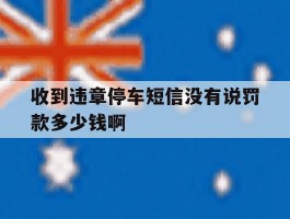 收到违章停车短信没有说罚款多少钱啊