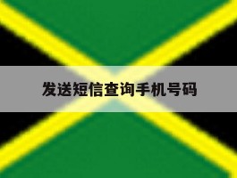 发送短信查询手机号码