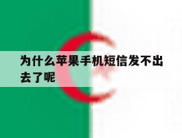 为什么苹果手机短信发不出去了呢