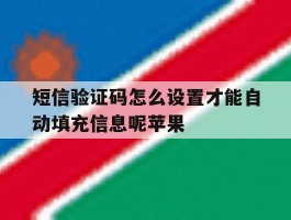 短信验证码怎么设置才能自动填充信息呢苹果