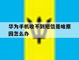 华为手机收不到短信是啥原因怎么办