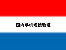 国内手机短信验证