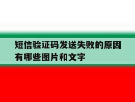 短信验证码发送失败的原因有哪些图片和文字的简单介绍