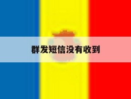 群发短信没有收到