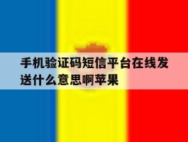 手机验证码短信平台在线发送什么意思啊苹果的简单介绍