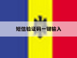 短信验证码一键输入