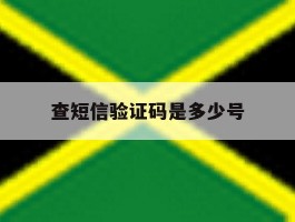 查短信验证码是多少号