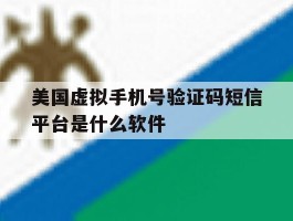美国虚拟手机号验证码短信平台是什么软件