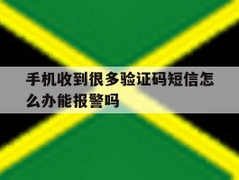 手机收到很多验证码短信怎么办能报警吗