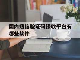 国内短信验证码接收平台有哪些软件