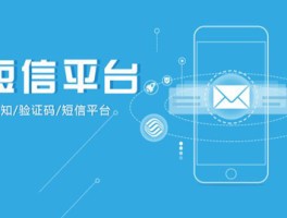 做验证码短信的公司叫什么来着