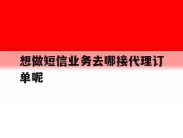 包含想做短信业务去哪接代理订单呢的词条