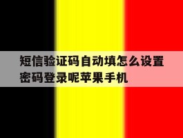 包含短信验证码自动填怎么设置密码登录呢苹果手机的词条