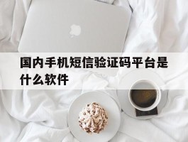 国内手机短信验证码平台是什么软件